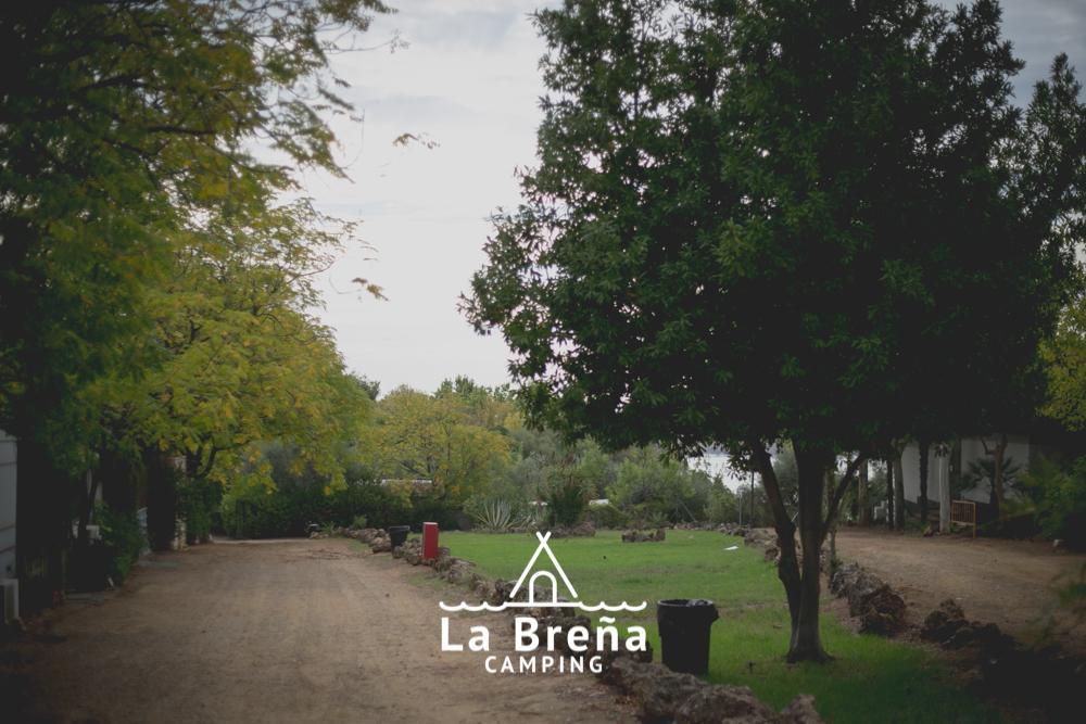 Camping La Brena Hotell Almodóvar del Río Exteriör bild